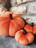 Orange Velvet Pumpkins