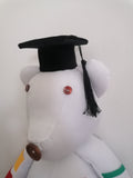 Graduation Bear
