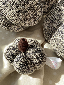 Textured Black Pumpkin